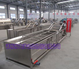 大洋牌氣泡式果蔬清洗機(jī) 專(zhuān)為桑葚設(shè)計(jì)的機(jī)械設(shè)備研發(fā)創(chuàng)新