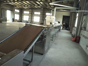 微波肉皮膨化設備 賦能大型食品加工廠的高效生產解決方案